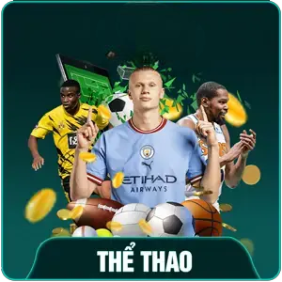 the thao w333